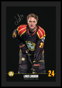 Linus Lindblom #24 Brynäs IF 2024/2025-4