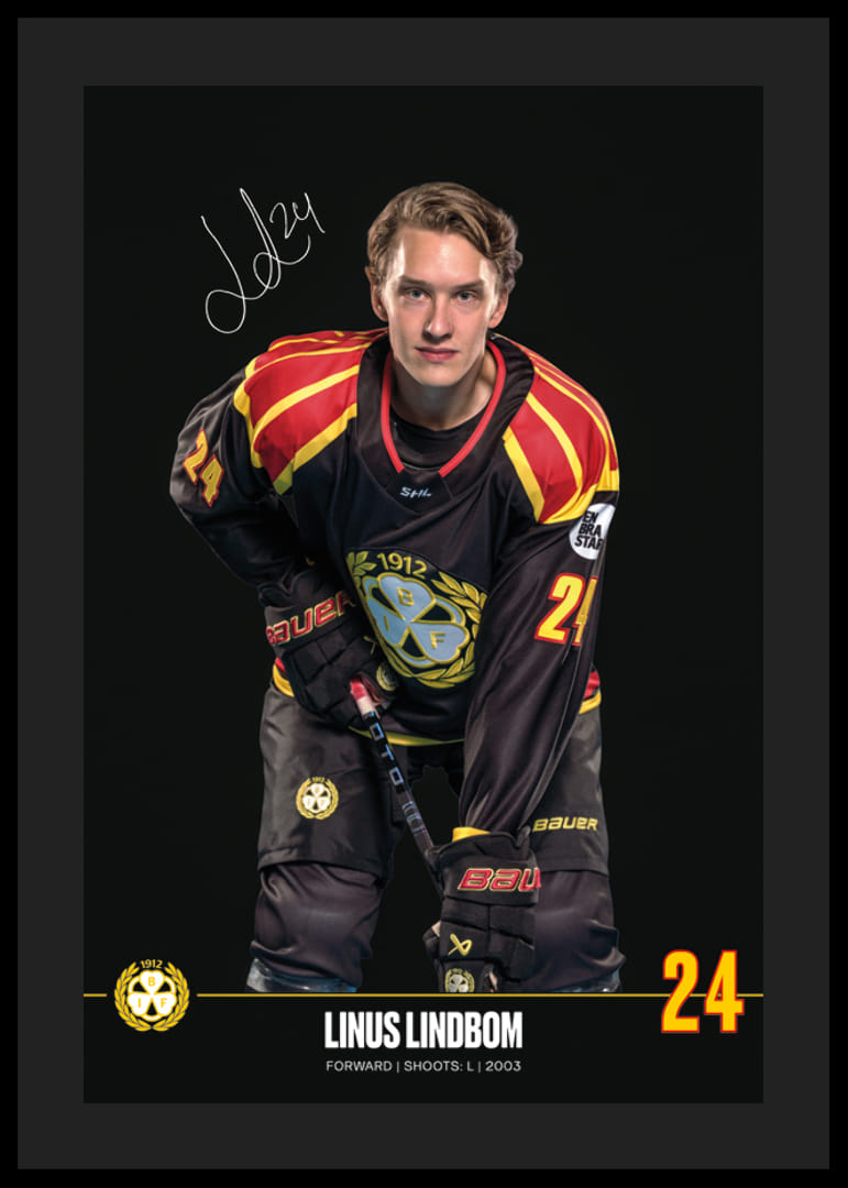Linus Lindblom #24 Brynäs IF 2024/2025-12