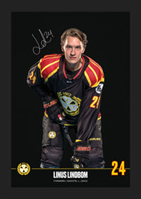 Linus Lindblom #24 Brynäs IF 2024/2025-5