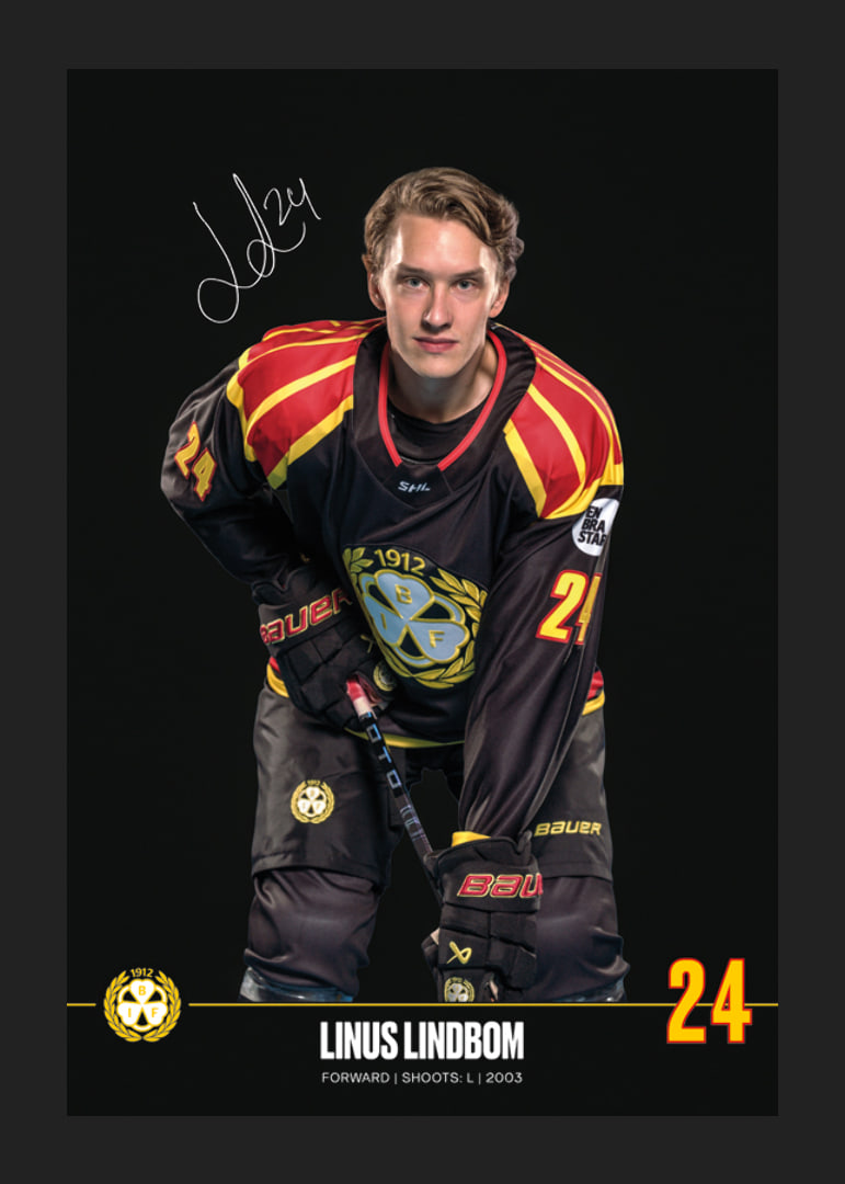 Linus Lindblom #24 Brynäs IF 2024/2025-12