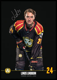 Linus Lindblom #24 Brynäs IF 2024/2025-6