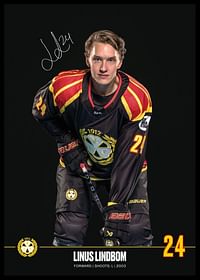 Linus Lindblom #24 Brynäs IF 2024/2025-2