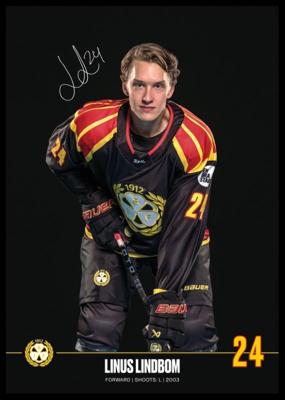 Linus Lindblom #24 Brynäs IF 2024/2025-12