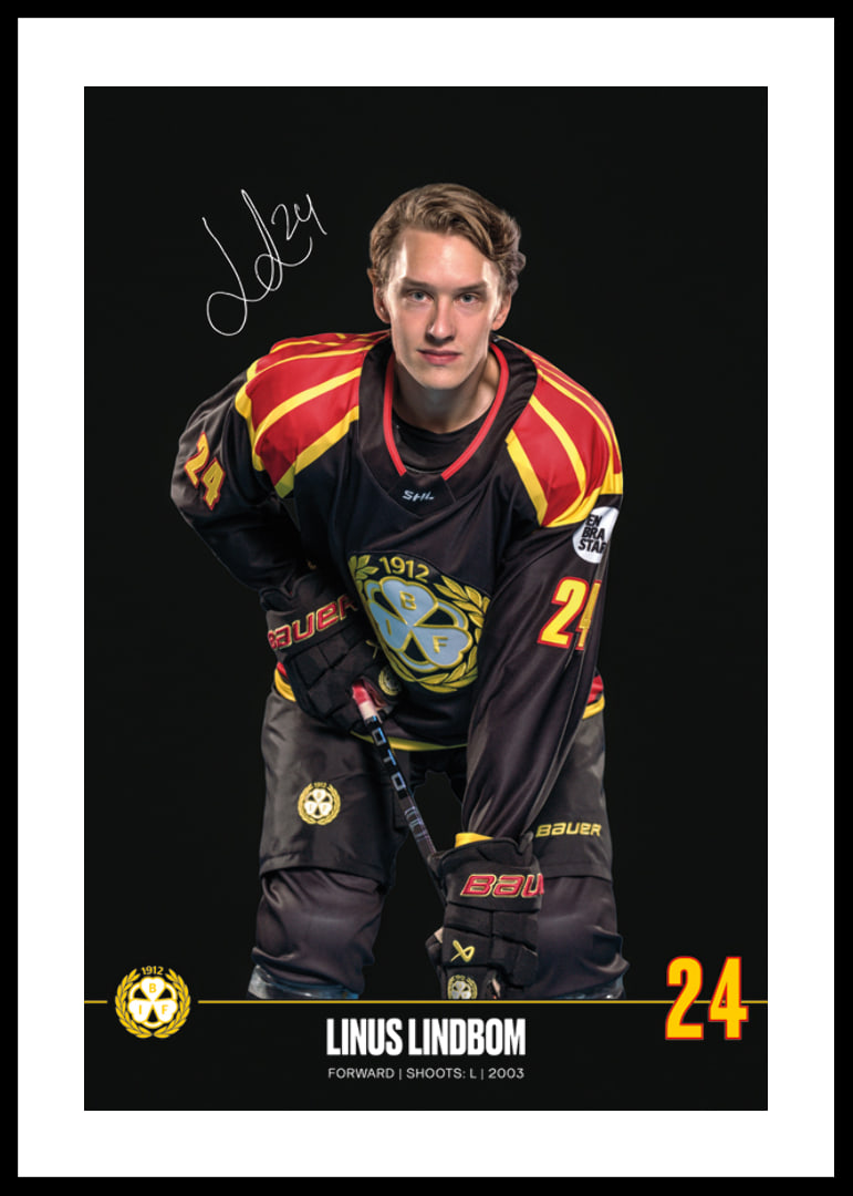 Linus Lindblom #24 Brynäs IF 2024/2025-12