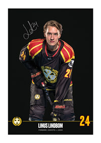 Linus Lindblom #24 Brynäs IF 2024/2025-1
