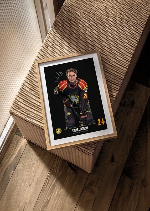 Linus Lindblom #24 Brynäs IF 2024/2025-12