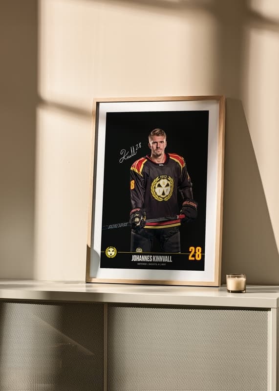 Johannes Kinnvall #28 Brynäs IF 2024/2025-12