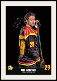 Axel Andersson #29 Brynäs IF 2024/2025-2
