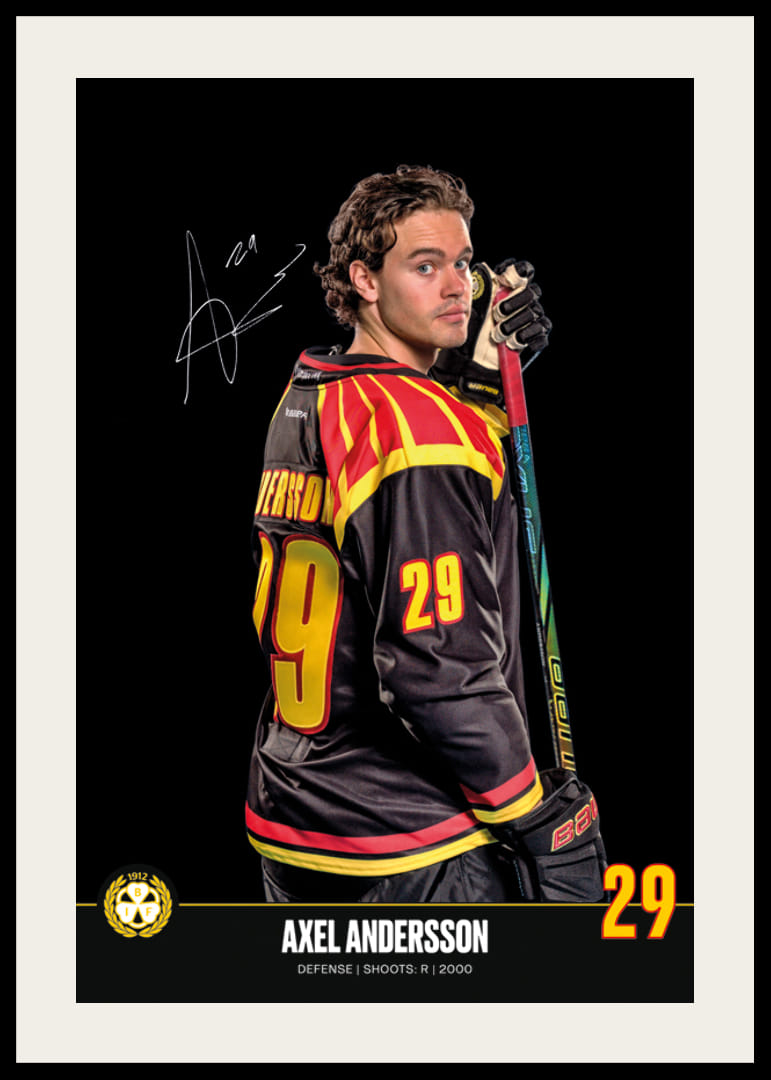 Axel Andersson #29 Brynäs IF 2024/2025-12