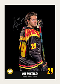 Axel Andersson #29 Brynäs IF 2024/2025-3