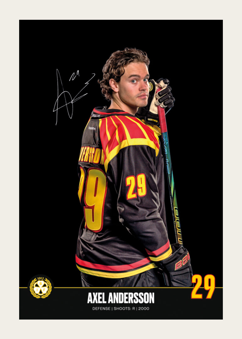 Axel Andersson #29 Brynäs IF 2024/2025-12