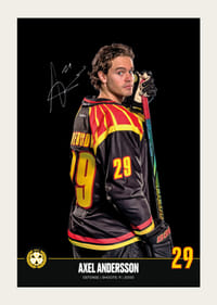 Axel Andersson #29 Brynäs IF 2024/2025-3