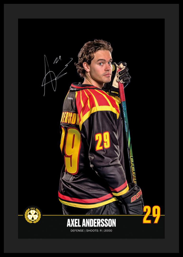 Axel Andersson #29 Brynäs IF 2024/2025-12