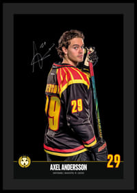 Axel Andersson #29 Brynäs IF 2024/2025-4