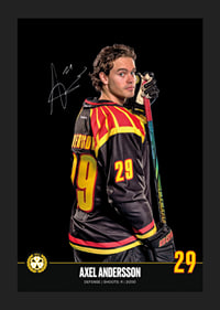 Axel Andersson #29 Brynäs IF 2024/2025-5