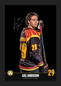 Axel Andersson #29 Brynäs IF 2024/2025-5
