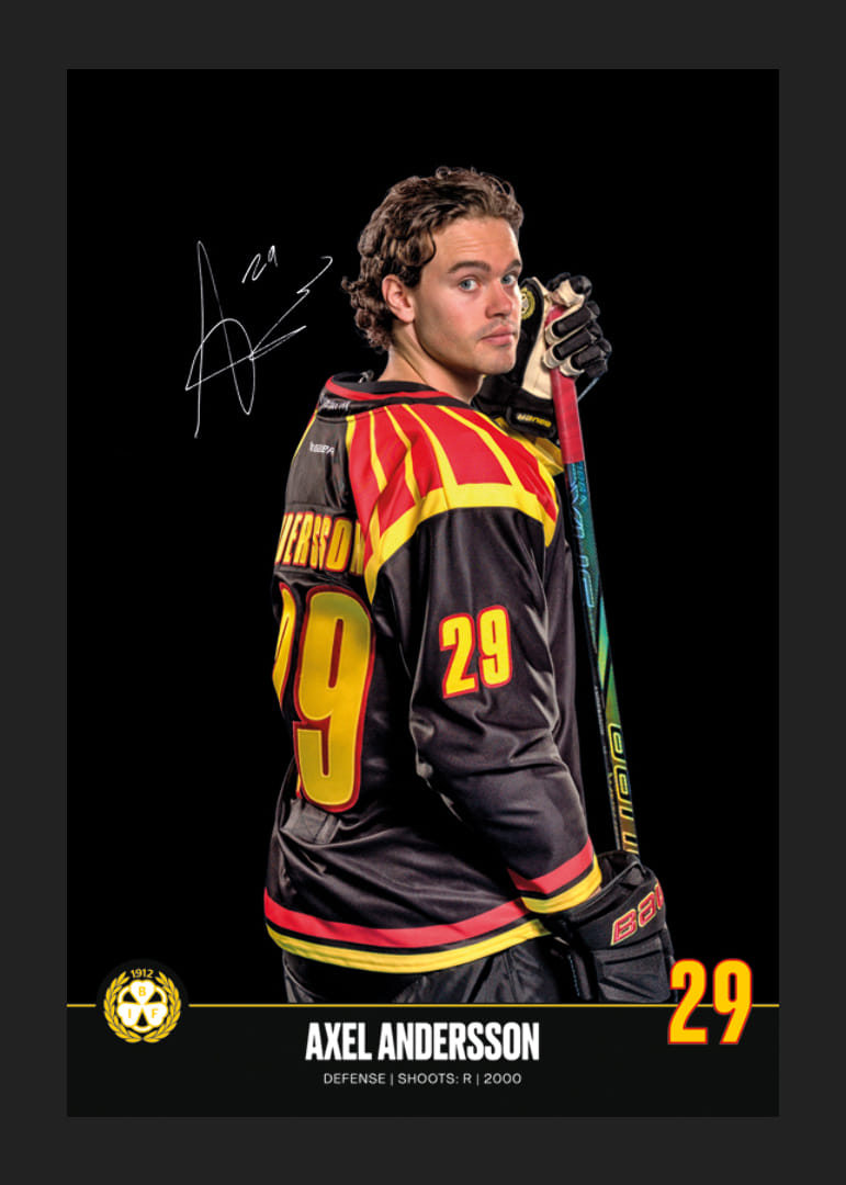 Axel Andersson #29 Brynäs IF 2024/2025-12