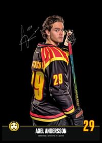 Axel Andersson #29 Brynäs IF 2024/2025-2