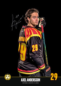 Axel Andersson #29 Brynäs IF 2024/2025-7
