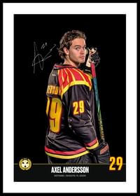 Axel Andersson #29 Brynäs IF 2024/2025-0