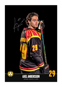 Axel Andersson #29 Brynäs IF 2024/2025-1