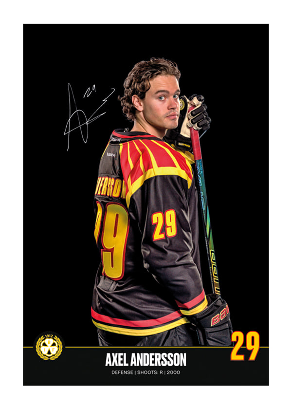 Poster Axel Andersson #29 Brynäs IF 2024/2025
