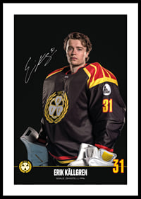 Erik Källgren #31 Brynäs IF 2024/2025-0