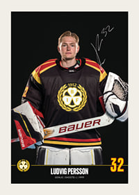 Ludvig Persson #32 Brynäs IF 2024/2025-3