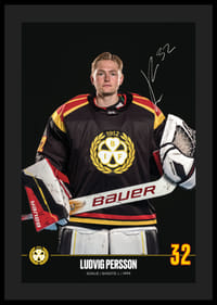 Ludvig Persson #32 Brynäs IF 2024/2025-4