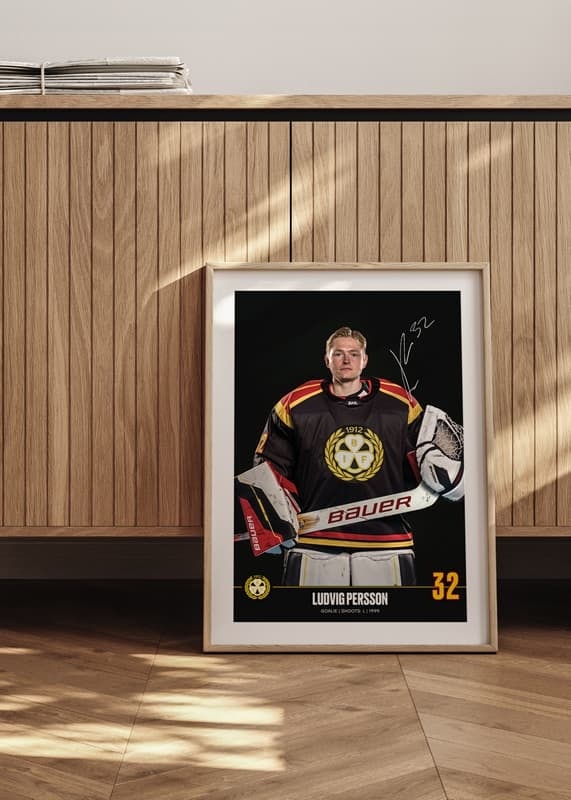 Ludvig Persson #32 Brynäs IF 2024/2025-12