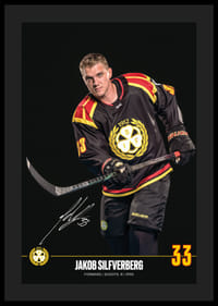 Jakob Silfverberg #33 Brynäs IF 2024/2025-4