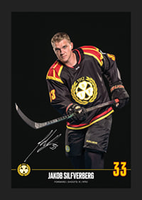 Jakob Silfverberg #33 Brynäs IF 2024/2025-5