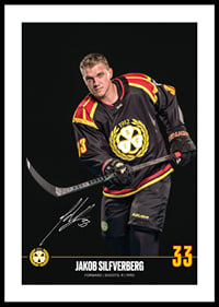 Jakob Silfverberg #33 Brynäs IF 2024/2025-0
