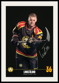 Linus Ölund #36 Brynäs IF 2024/2025-2