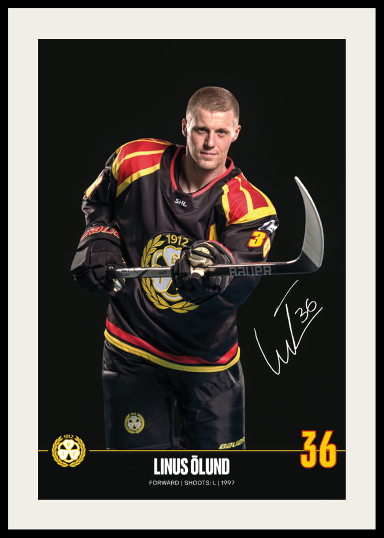 Linus Ölund #36 Brynäs IF 2024/2025-12