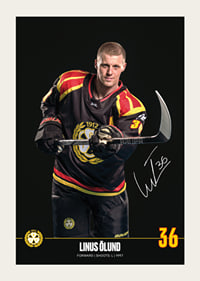 Linus Ölund #36 Brynäs IF 2024/2025-3