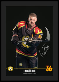 Linus Ölund #36 Brynäs IF 2024/2025-4