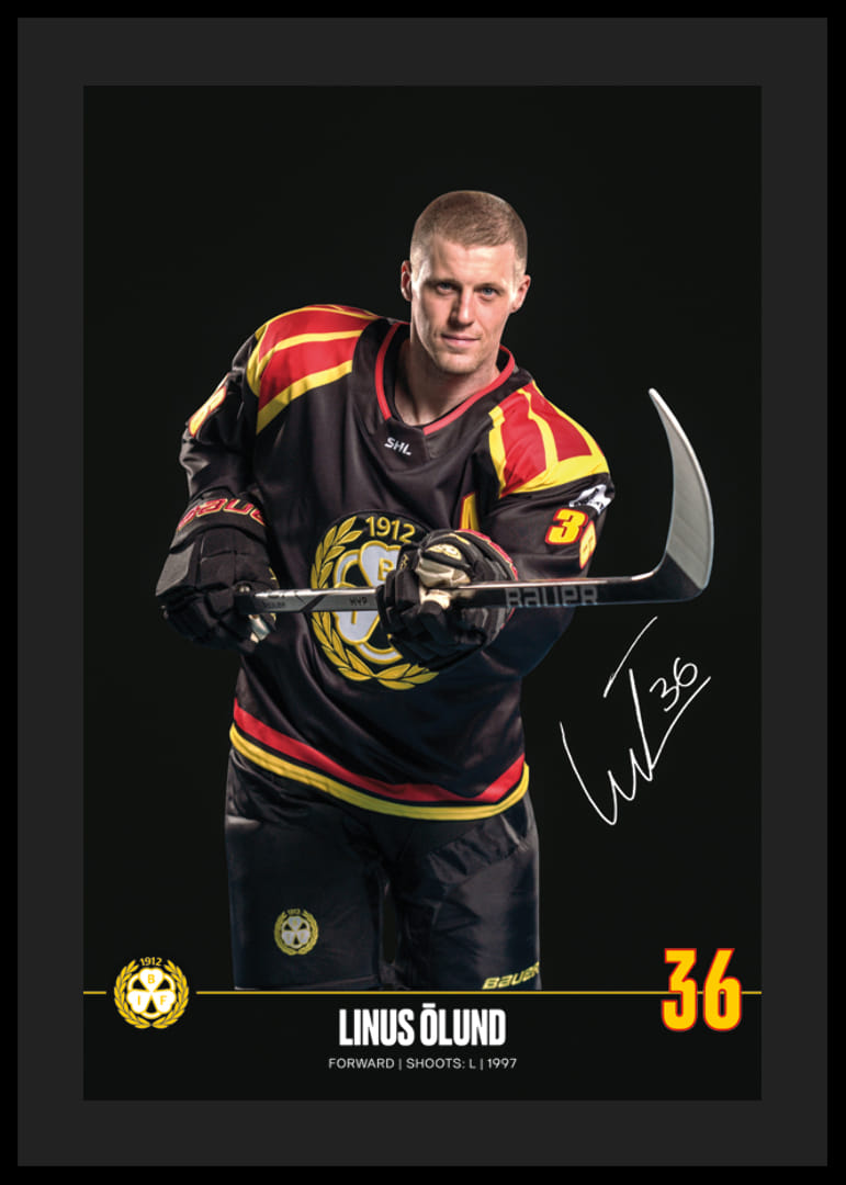 Linus Ölund #36 Brynäs IF 2024/2025-12