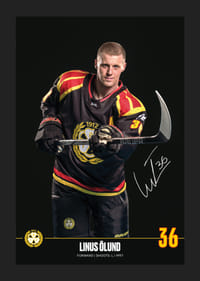 Linus Ölund #36 Brynäs IF 2024/2025-5