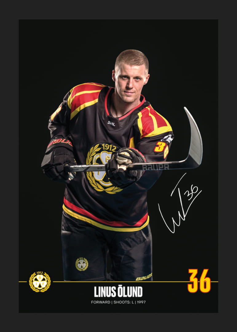 Linus Ölund #36 Brynäs IF 2024/2025-12
