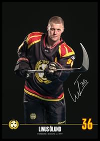 Linus Ölund #36 Brynäs IF 2024/2025-2