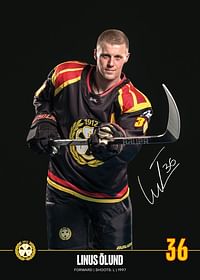 Linus Ölund #36 Brynäs IF 2024/2025-3