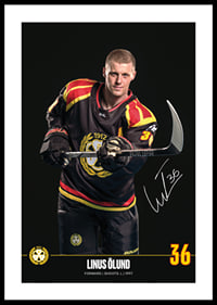 Linus Ölund #36 Brynäs IF 2024/2025-0