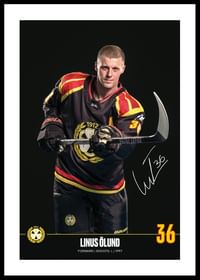 Linus Ölund #36 Brynäs IF 2024/2025-0