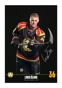 Linus Ölund #36 Brynäs IF 2024/2025-1