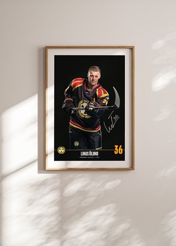 Linus Ölund #36 Brynäs IF 2024/2025-12