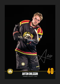 Anton Ohlsson #40 Brynäs IF 2024/2025-5