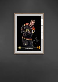 Anton Ohlsson #40 Brynäs IF 2024/2025-8
