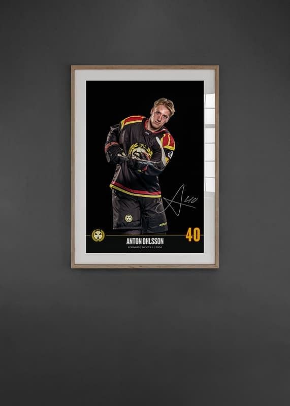 Anton Ohlsson #40 Brynäs IF 2024/2025-12
