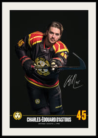 Charles-Édouard D'Astous #45 Brynäs IF 2024/2025-2